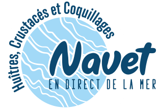 Navet Logo